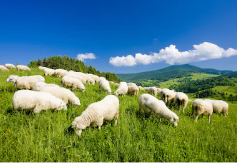 1608712275244474.png 圖片2.png