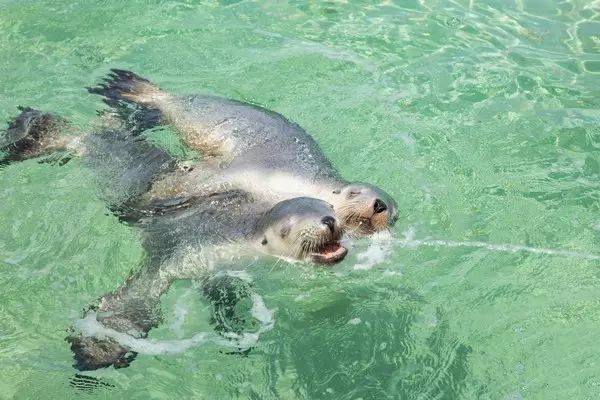 1610070056574611.jpg 300.jpg