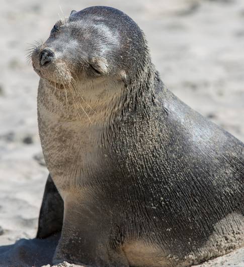 1610070095295823.jpg 302.jpg