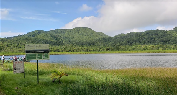 1610085054776642.png 6.png