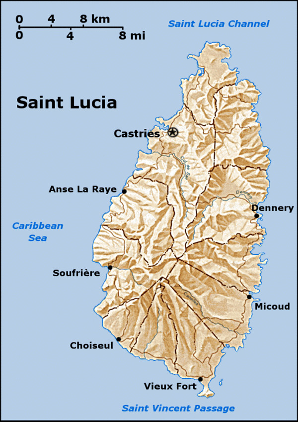 1610429159229960.jpg 2.jpg