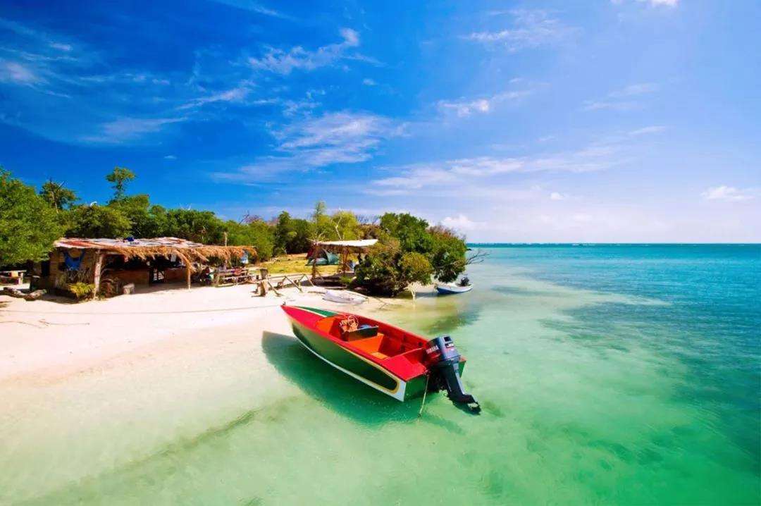 1611732270548567.jpg 1.jpg