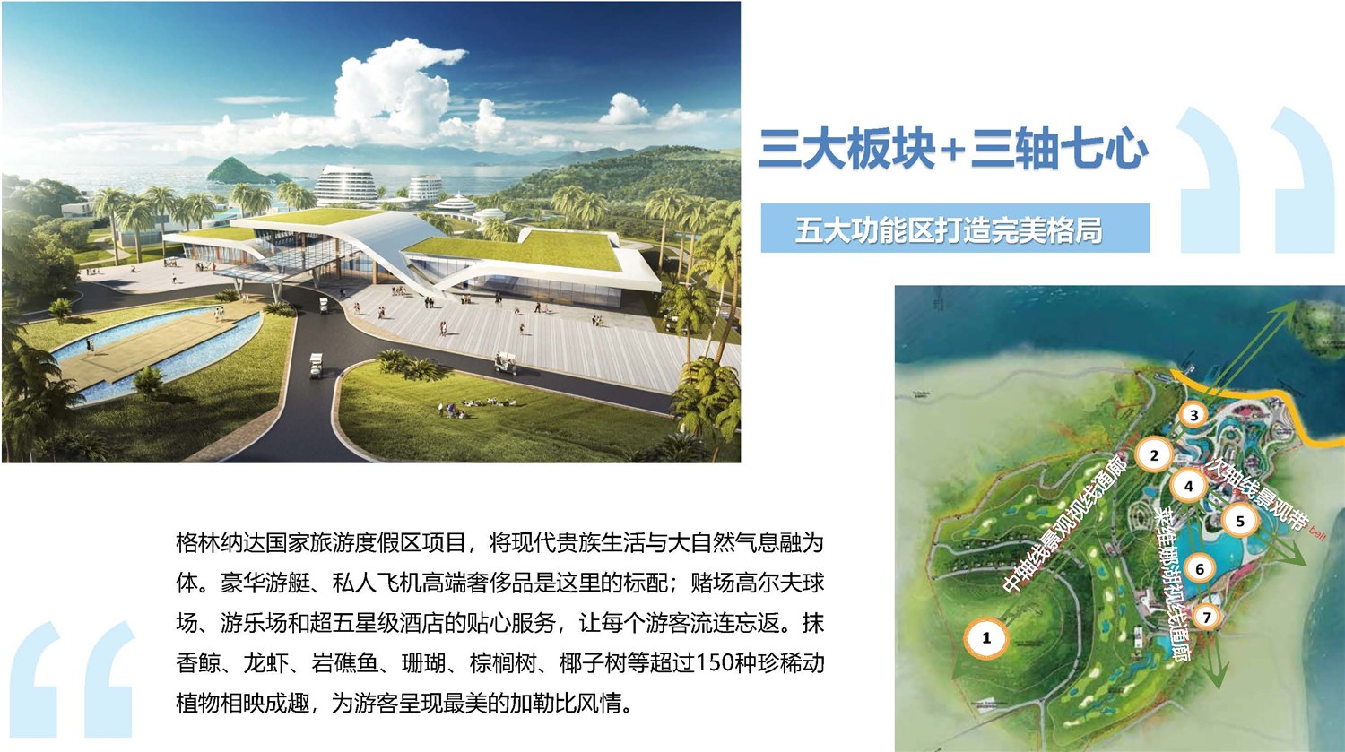 1612234371826985.jpg 8.jpg