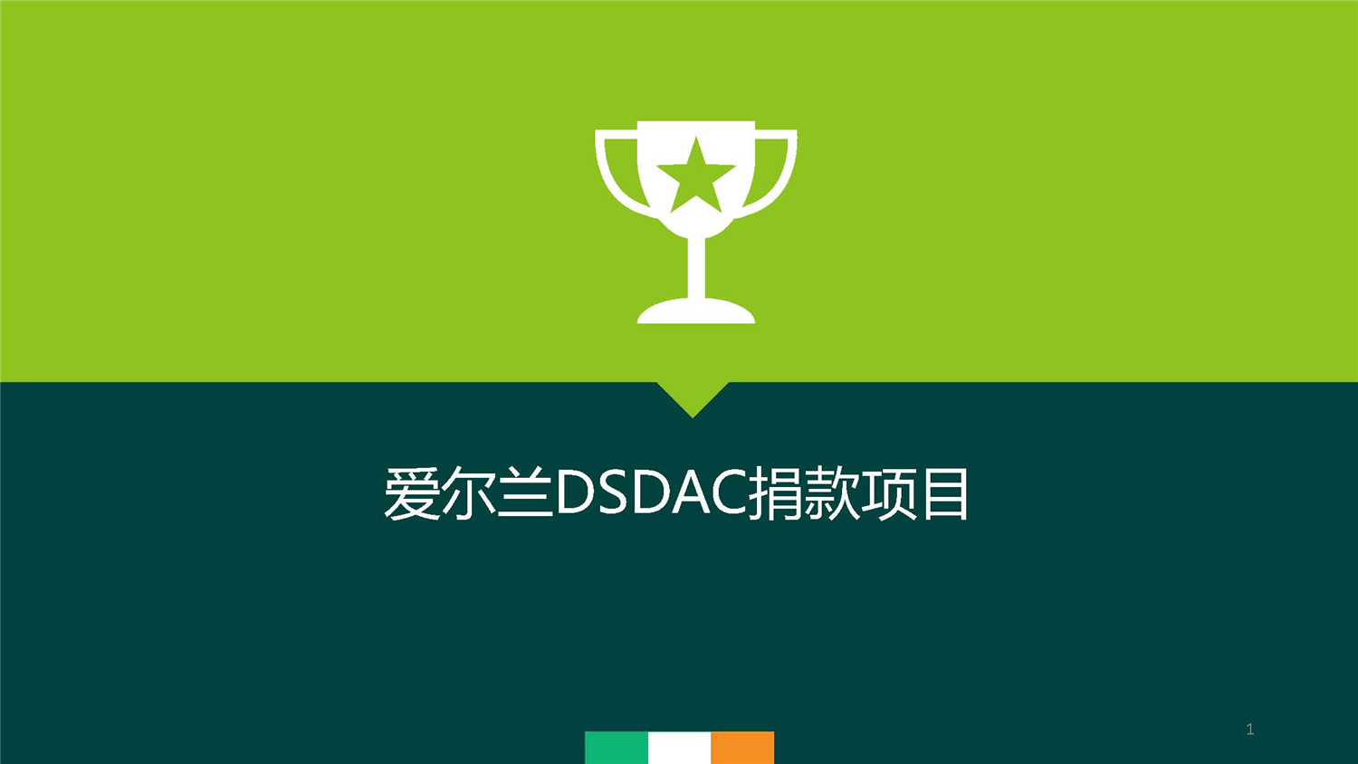 1、愛(ài)爾蘭DSDAC團(tuán)捐項(xiàng)目介紹_頁(yè)面_01.jpg
