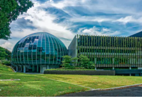 1612247223701000.png 1612247223701000.png