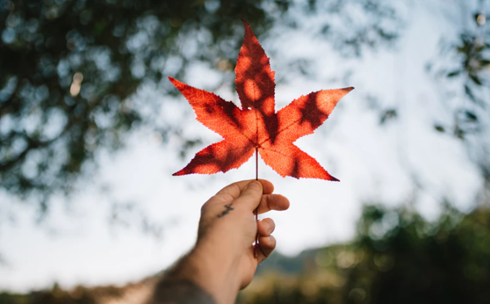 1615261267143770.png image.png