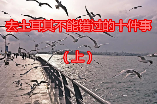 1615342537657568.jpg 1.jpg