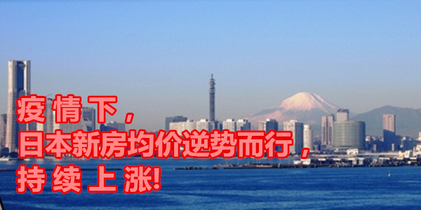 1615427556900159.jpg 3.jpg