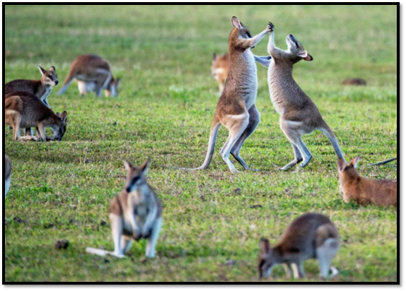 1615778768456564.png image.png