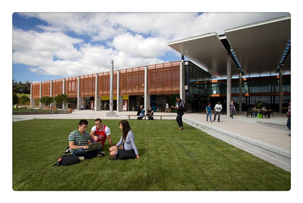 1617333103252491.jpg 8.jpg