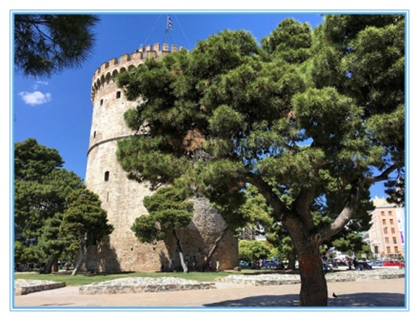 1617677046110679.jpg 5.jpg