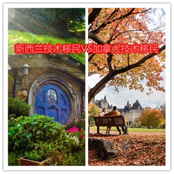 1617762647116834.jpg 1.jpg