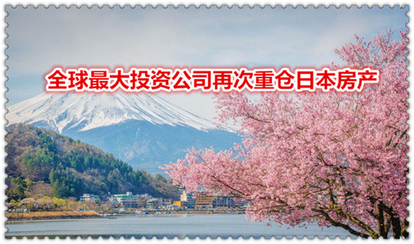 1618278652141902.jpg 2.jpg