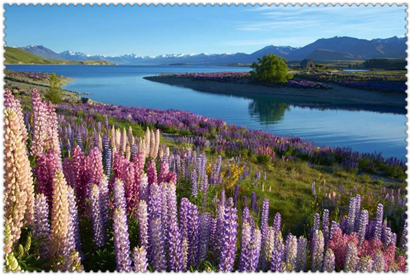 1618451517532525.jpg 2.jpg