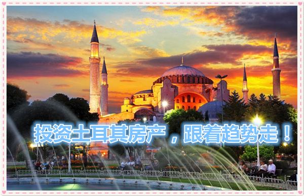 1618971442723439.jpg 3.jpg