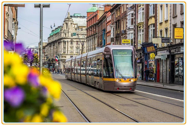 1619399564428948.jpg 3.jpg