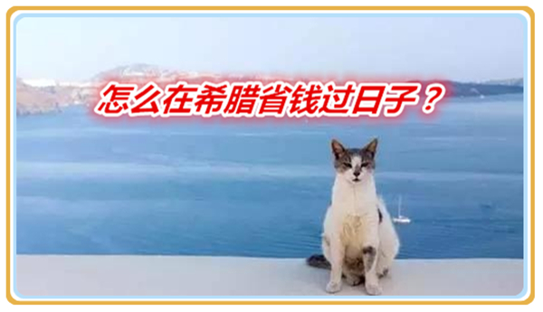 1620609404474898.jpg 1.jpg