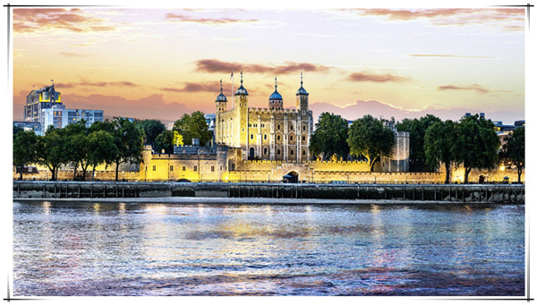 1621216458685554.jpg 2.jpg