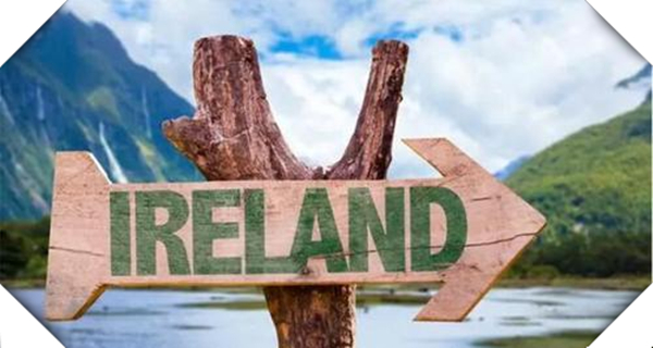 1621388400301295.jpg 3.jpg