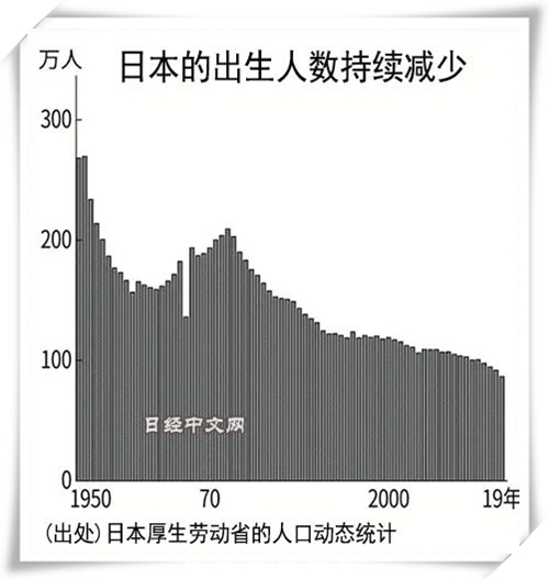 1621817392461904.jpg 2.jpg