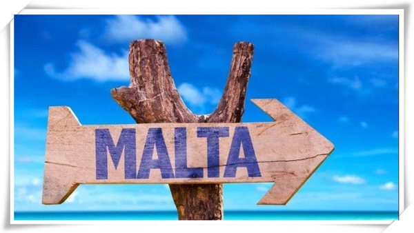 1623028224168786.jpg 3.jpg