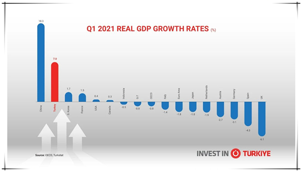 1623719367501341.jpg 2.jpg