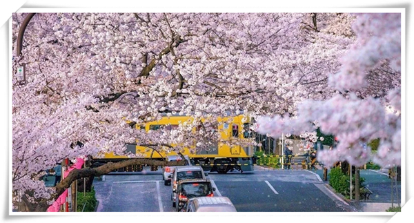 1627439223271108.jpg 5.jpg