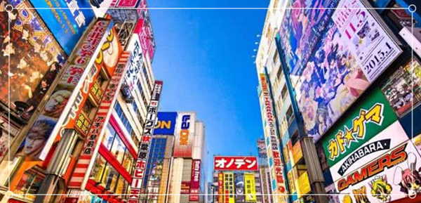 1628559867470077.jpg 2.jpg