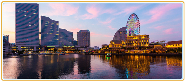 1629682711969216.jpg 2.jpg