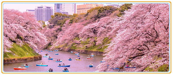 1629682741432004.jpg 3.jpg