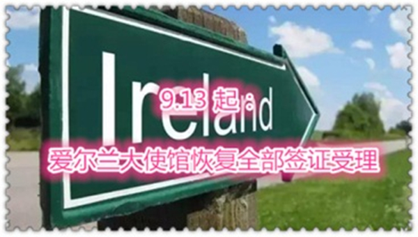 1631753275868063.jpg 1.jpg