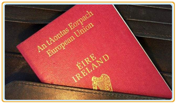 1632360896628805.jpg 2.jpg