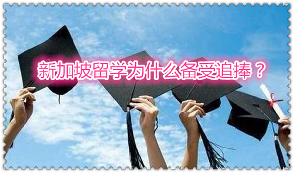 1632447338384046.jpg 1.jpg