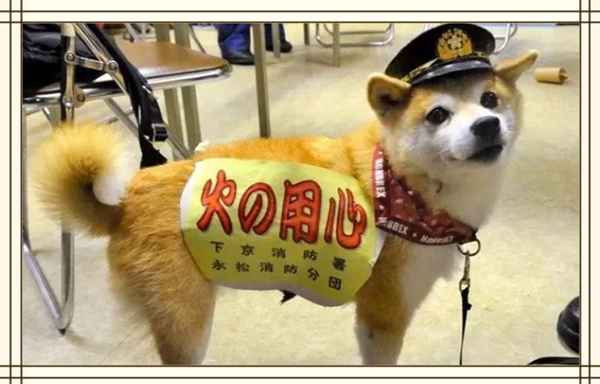 1633751025608343.jpg 3.jpg