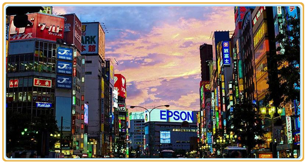 1634173610680674.jpg 2.jpg