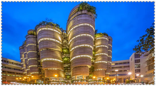 1634173982533868.jpg 3.jpg