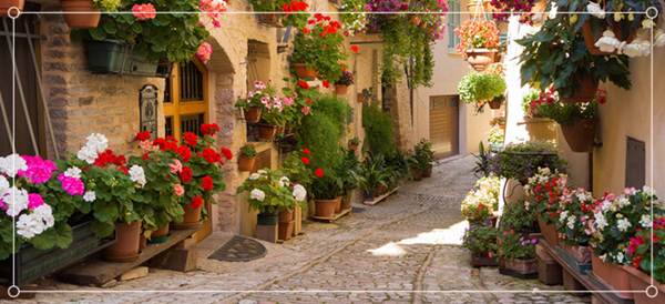 1634867754408345.jpg 2.jpg